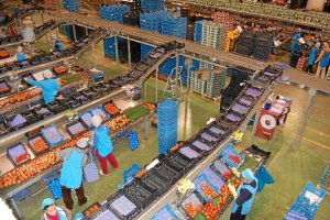 Mujeres trabajando en una empresa como operarias.e;clip:rect(46