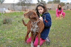 Mayores y pequeños pasean a los animales con la ayuda de los voluntarios.tyle>.apqj{positi