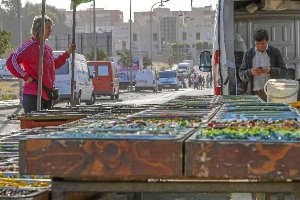 Imagen de un puesto de venta ambulante en Aracelie;clip:rect(46