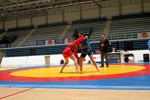 El espectáculo, garantizadoo,469px);}