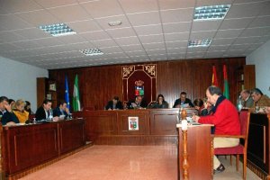 La Corporación de Vícar está compuesta por 21 concejales, de los que el PP tiene 8.tyle>.a