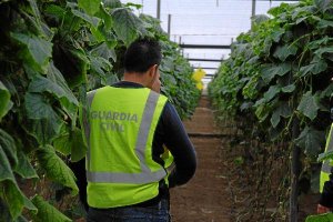 Foto de archivo del Equipo Roca.o,469