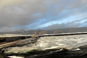 Efectos del granizo sobre los invernaderosx,aut