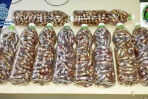 Droga encontrada en el depósito del vehículo.x,