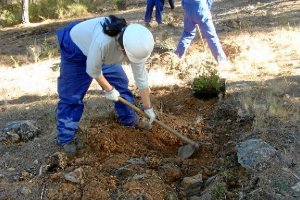 Imagen de una acción del plan en Canjáyarx,auto