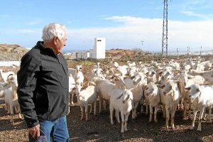 El pastor José Alfonso Salmeróno,469p