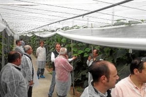 Charla en una finca de pepino SV0091CEx,auto,au