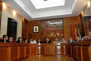 Imagen de una sesión plenaria anterior celebrada en el municipio de Vera.tyle>.apqj{positi