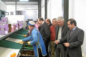 Pérez Parra durante su visita a la cooperativa Albentillase;cli