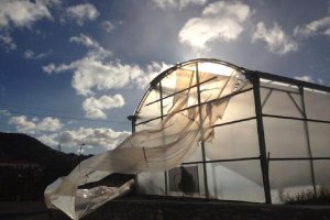 Invernadero en Olula del Río, dañado por las fuertes rachas de viento de ayer.tyle>.apqj{p