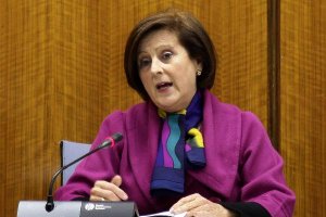 La consejera de Salud, María José Sánchez Rubio, durante su comparecencia en el Parlamento.</title><