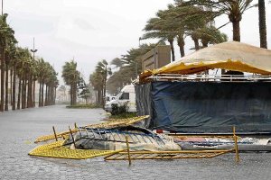 Palmeral del Paseo Marítimo de Almería. x,auto,