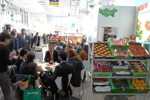 Encuentros comerciales hoy en Fruitlogisticax,a