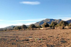 Espacio acondicionado para los aficionados a este deporte con avestyle>.apqj{position:abso