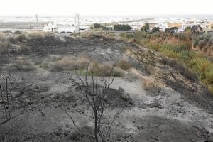 Aspecto de la zona calcinada por el fuego.x,aut