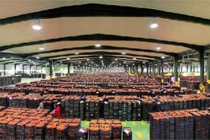 La Cooperativa CASI entiende que el deporte es básico para el desarrollo de la sociedad.ty