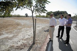 Visita del alcalde a los suelos del concursox,a