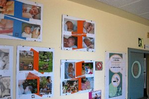 Carteles para la promoción de la lactancia materna en el centro hospitalario.tyle>.apqj{po