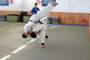 Judocas en acción<d