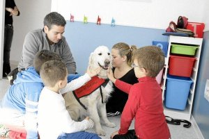 El perro Gaspar durante una terapia el pasado sábado.e;clip:rec