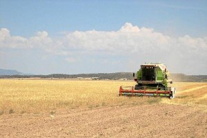 Los Vélez es una de las principales comarcas almerienses donde sobrevive la agricultura tradicional 