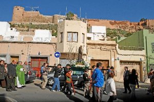 Procesión de San Antón, con la Alcazaba al fondo, en una imagen de archivo. tyle>.apqj{pos