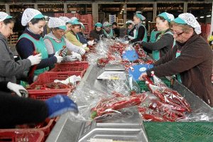 El manipulado, uno de los motores del empleox,a