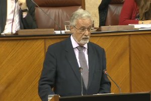 El Defensor del Pueblo Andaluz en una presentación en el Parlamento de Andalucía.