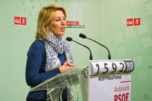 Sonia Ferrer, diputada del PSOE.
