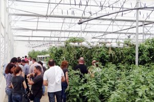 La agricultura intensiva almeriense, ejemplo de la innovación y el valor que pide COPA-COGECA.