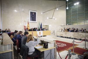 Votación durante el Pleno realizado ayer