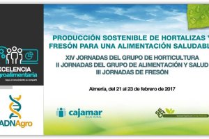 Las jornadas se celebran del 21 al 23 de febrero de 2017