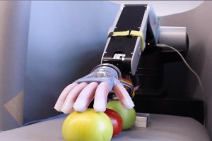 La mano robótica, en una imagen difundida por Fresh Plaza