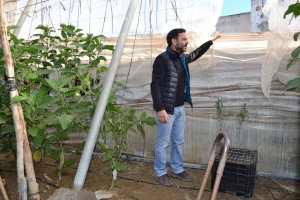 Pedro martínez,  uno de los agricultores que ha sufrido las consecuencias de los robos en el campo, señalando un boquete en la estructura del inverna