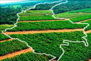 Colombia tiene unas condiciones climáticas envidiables para el cultivo de frutas y hortalizas.