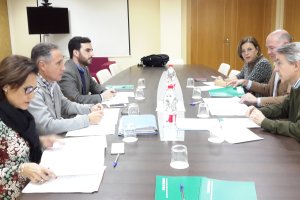 Reunión de la comisión de seguimiento en la Junta