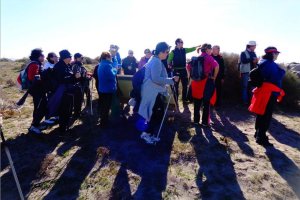 Actividades para mayores.