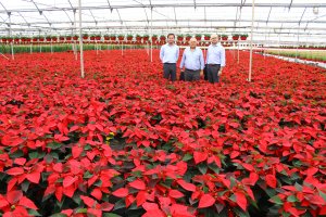 El alcalde y el concejal de Agricultura de El Ejido con el responsable de la empresa Joepasur.