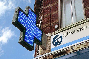 La cruz azul que se empleará como distintivo de los centros veterinarios.