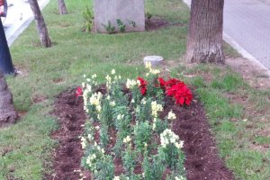 Imagen del lugar donde se encontraban los pascueros