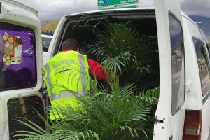 La Guardia Civil con parte de las plantas sustraídas de un vivero