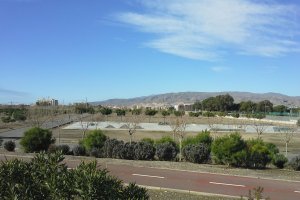 Los terrenos siguen igual.