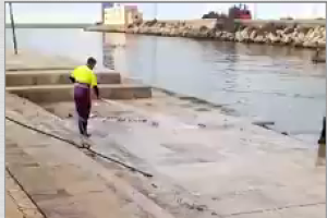 Imagen del momento de la limpieza