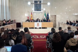 Sesión plenaria en la tarde de ayer