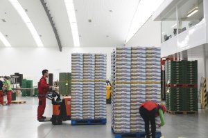 La exportación de frutas y hortalizas sigue al alza.