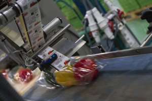 El golfo Pérsico, un mercado al alza.