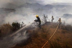 Personal del Infoca durante la extinción del incendio este año en Enix.