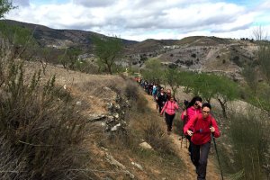 Participantes en la actividad que programa el PMD.