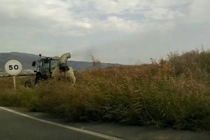 Trabajadores fumigando con maquinaria pesada para evitar las plagas de mosquitos.
