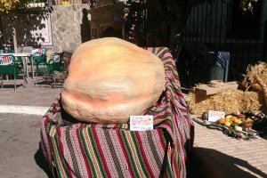 LA calabaza ganadora del concurso pesa 220 kilos.